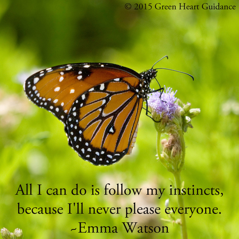 All I can do is follow my instincts because I'll never please everyone. ~Emma Watson