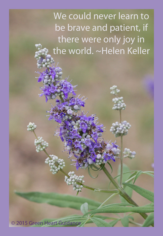 We could never learn to be brave and patient, if there were only joy in the world. ~Helen Keller