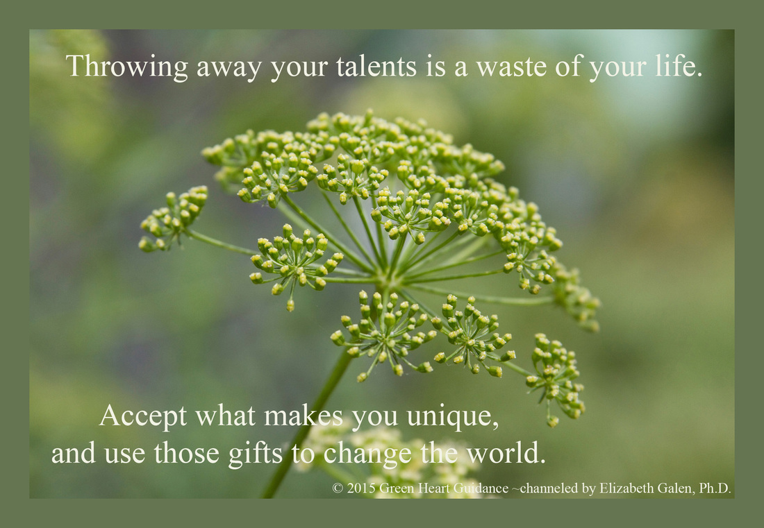 Throwing away your talents is a waste of your life. Accept what makes you unique and use those gifts to change the world. ~channeled by Elizabeth Galen, Ph.D.