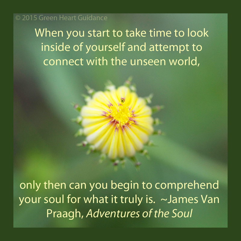 When you start to take time to look inside of yourself and attempt to connect with the unseen world, only then can you begin to comprehend your soul for what it truly is. ~James Van Praagh, Adventures of the Soul