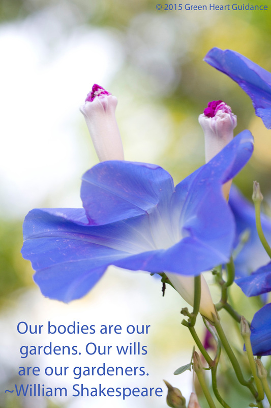 Our bodies are our gardens. Our wills are our gardeners. ~William Shakespeare