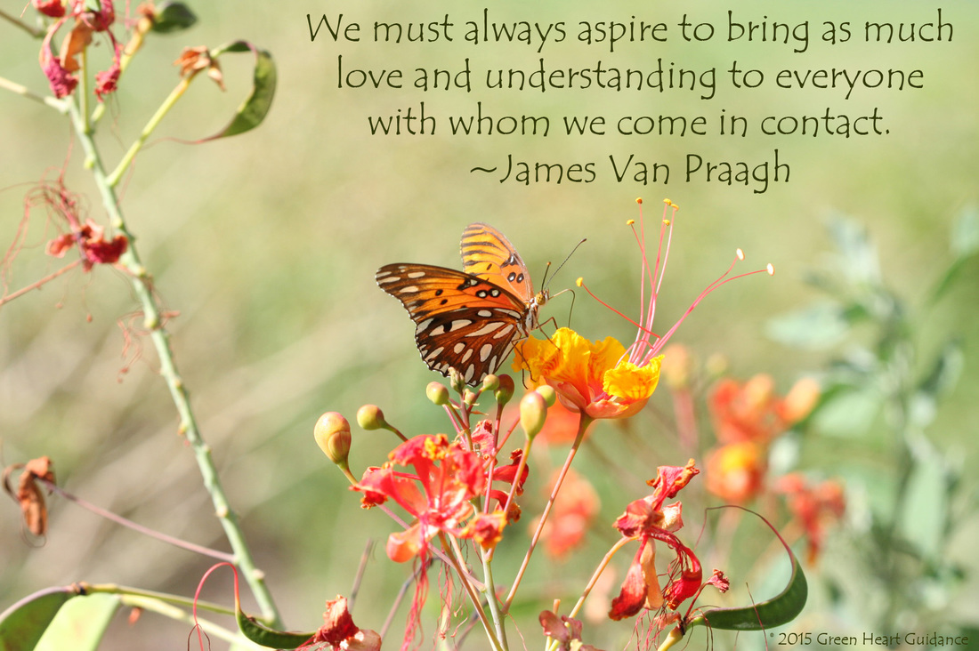 We must always aspire to bring as much love and understanding to everyone with whom we come in contact. ~James Van Praagh