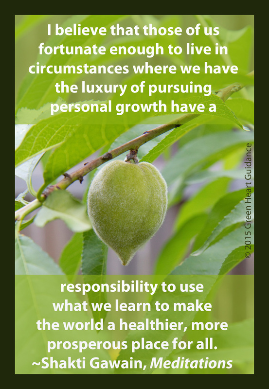 I believe that those of us fortunate enough to live in circumstances where we have the luxury of pursuing personal growth have a responsibility to use what we learn to make the world a healthier, more prosperous place for all. ~Shakti Gawain, Meditations