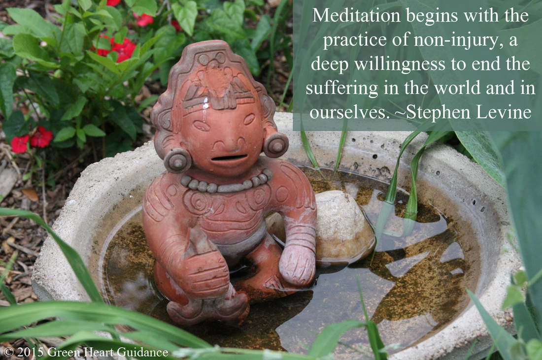 Meditation begins with the practice of non-injury, a deep willingness to end the suffering in the world and in ourselves. ~ Stephen Levine, Guided Meditations, Explorations, and Healings
