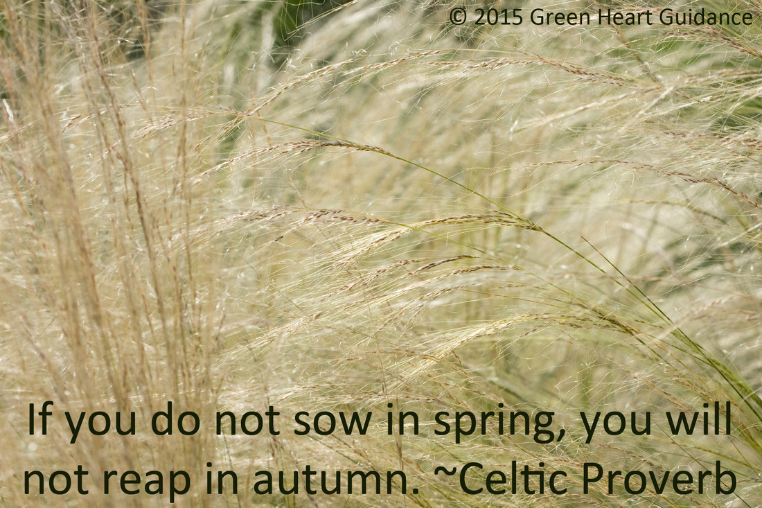 If you do not sow in spring you will not reap in autumn. ~Celtic Proverb