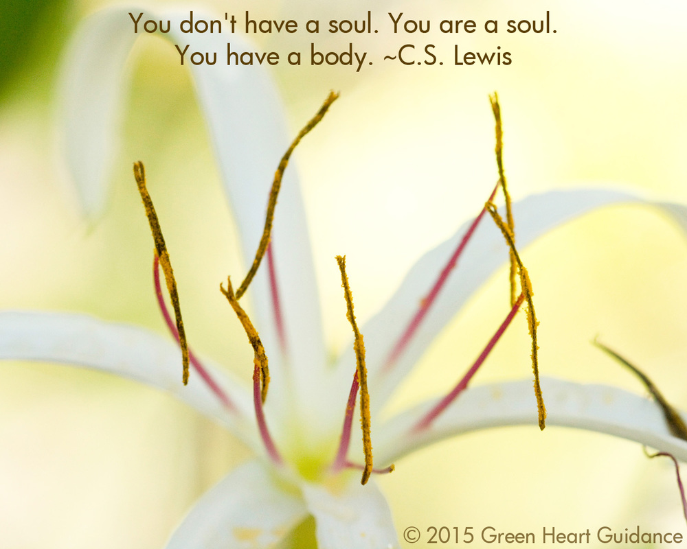 You don't have a soul. You are a soul. You have a body. ~C.S. Lewis