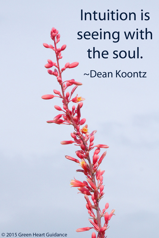 Intuition is seeing with the soul. ~ Dean Koontz 